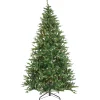 Sale The Holiday Aisle 7' 5" H Green Fir Christmas Tree With 700 Lights