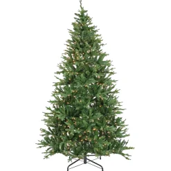 Sale The Holiday Aisle 7' 5" H Green Fir Christmas Tree With 700 Lights