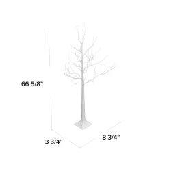 Sale Greyleigh 5' 6
