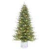 Sale The Holiday Aisle 7.5 Ft Pe/Pvc Potted Tree, 1534 Tips, 450 Ul Clear Incandescent Lights