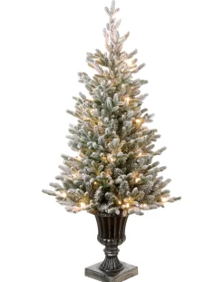 Best The Holiday Aisle 4' Green Fir Artificial Christmas Tree With 100 Clear Lights