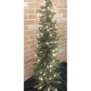 New The Holiday Aisle 4' Green Fir Artificial Christmas Tree With 70 Ul Clear/White Lights With Stand