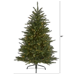 Flash Sale The Holiday Aisle 5' Green Fir Artificial Christmas Tree With 350 Clear Lights