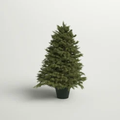 Discount Andover Mills 3' Green Pine Artificial Christmas Tree With 100 Clear Lights