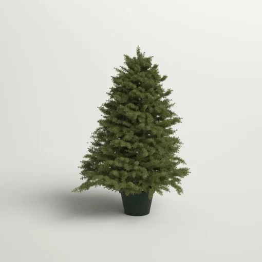 Discount Andover Mills 3' Green Pine Artificial Christmas Tree With 100 Clear Lights