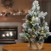 Clearance The Holiday Aisle 2' Green Pine Artificial Christmas Tree With 35 Clear/White Lights