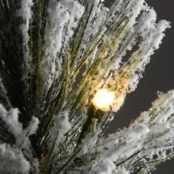 Clearance The Holiday Aisle 2' Green Pine Artificial Christmas Tree With 35 Clear/White Lights