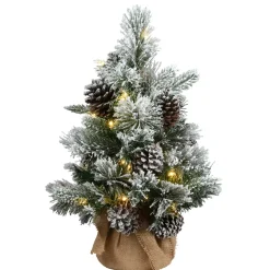 Clearance The Holiday Aisle 2' Green Pine Artificial Christmas Tree With 35 Clear/White Lights