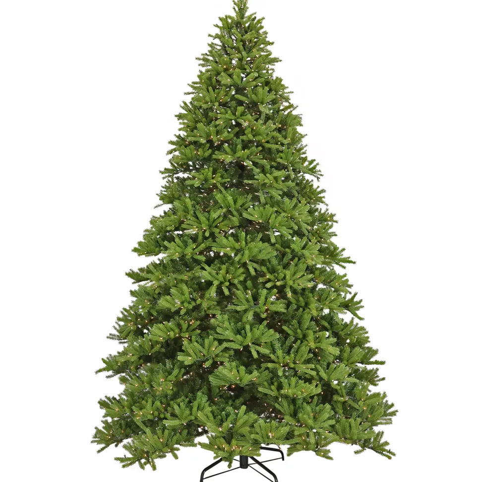 Shop National Tree Company 12' H Green Fir Christmas Tree With 2000 Lights