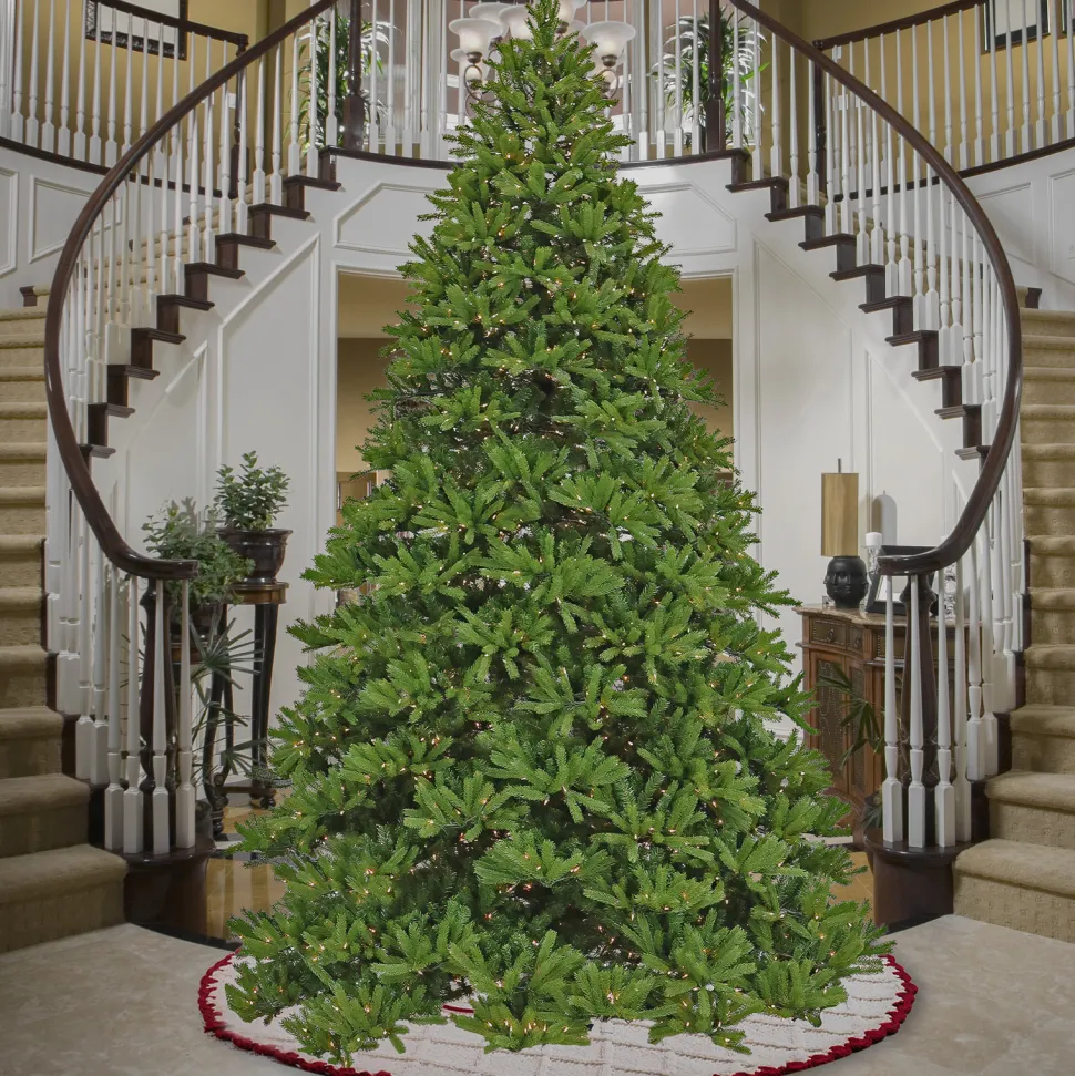 Shop National Tree Company 12' H Green Fir Christmas Tree With 2000 Lights