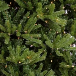 Shop National Tree Company 12' H Green Fir Christmas Tree With 2000 Lights