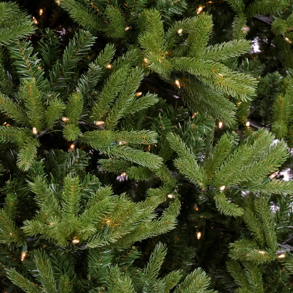 Shop National Tree Company 12' H Green Fir Christmas Tree With 2000 Lights