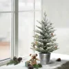 Outlet The Holiday Aisle 2' H Green Most Realistic Artificial Pine Frosted Christmas Tree With 35 Led Lights And Pinecones