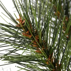 Shop The Holiday Aisle 3' H Green Pine Artificial Christmas Tree With 50 Led Lights