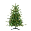 Fashion Kurt Adler 3' H Green Pine Christmas Tree With 100 Led Lights