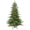 Best The Holiday Aisle 90" H Green Pvc & Pe Blend Fir Christmas Tree With 600 Led Color Changing/Combination Lights