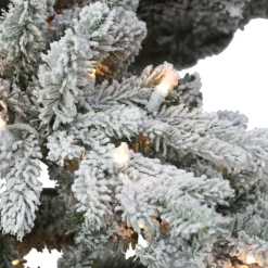 Best Sale The Holiday Aisle 78" H Green Pvc & Pe Blend Fir Flocked/Frosted Christmas Tree With 350 Lights