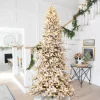 Fashion The Holiday Aisle 11' H Slender Black Pine Christmas Tree With 950 Led Lights
