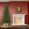Cheap Haute Decor 9' H Slender Green Realistic Fir Artificial Christmas Tree With 800 Led Lights