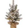 Outlet The Holiday Aisle 2' H Spruce Flocked/Frosted Christmas Tree With 15 Led Lights