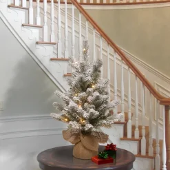 Outlet The Holiday Aisle 2' H Spruce Flocked/Frosted Christmas Tree With 15 Led Lights