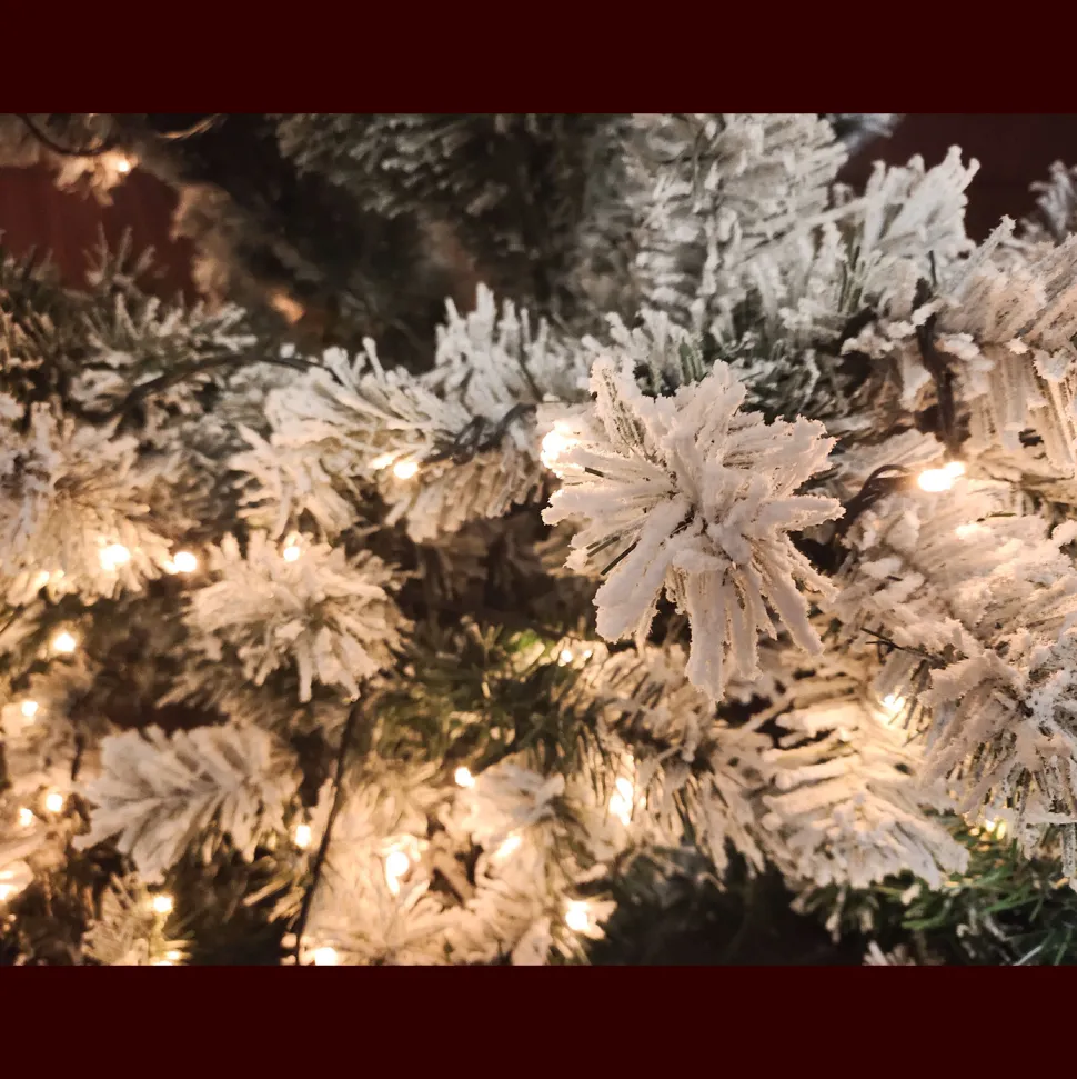 Store The Holiday Aisle 9' H White Realistic Pine Christmas Tree With 600 Led Color Changing/Combination Light