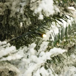 Best The Holiday Aisle 4' Lighted Artificial Fir Christmas Tree