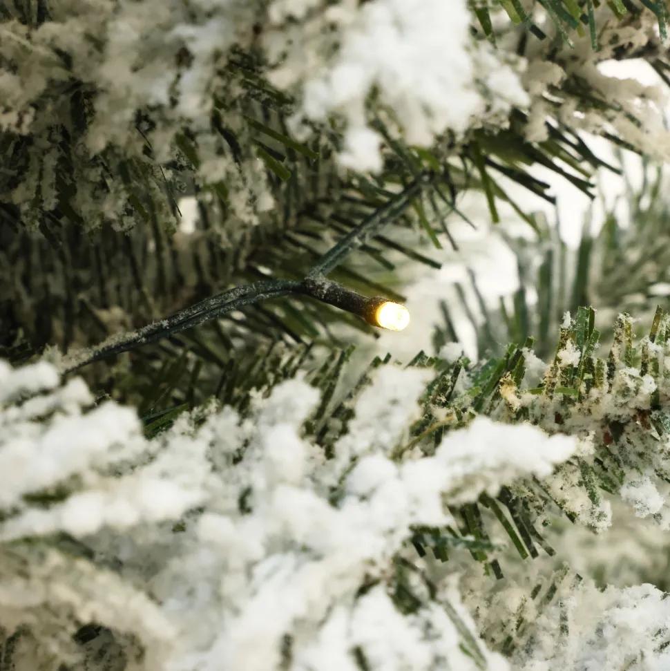 Best The Holiday Aisle 4' Lighted Artificial Fir Christmas Tree