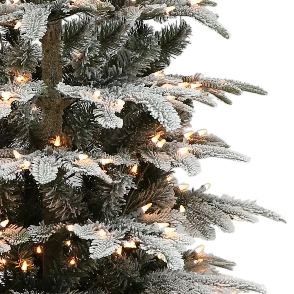 Cheap The Holiday Aisle 4.5' Lighted Artificial Fir Christmas Tree - Stand Included