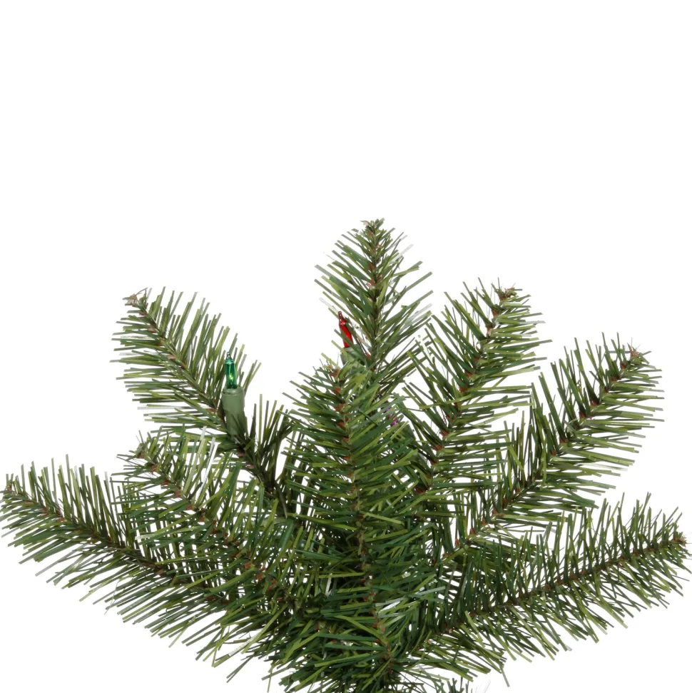 Hot The Holiday Aisle 66'' Lighted Artificial Pine Christmas Tree - Stand Included