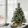 Store The Holiday Aisle 2' Lighted Artificial Pine Christmas Tree