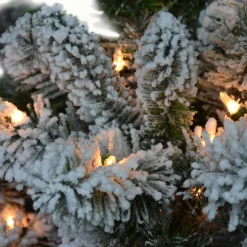 Clearance The Holiday Aisle 4.5' Lighted Artificial Pine Christmas Tree - Stand Included