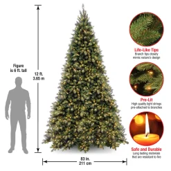 Outlet The Holiday Aisle Adrihana 12' Green Artificial Christmas Tree With 1400 Clear/White Lights