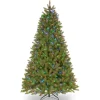 Discount The Holiday Aisle Annaelle 9' Green Artificial Christmas Tree With 1000 Color & Clear Lights