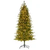 Clearance The Twillery Co. Asheville 7' Green Fir Artificial Christmas Tree With 1800 White Lights