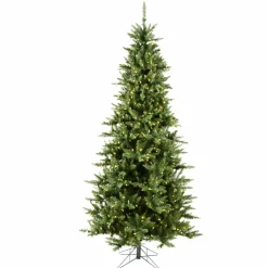 Clearance The Holiday Aisle Beardstown Fir 7.5' Green Artificial Slim Christmas Tree With 585 Led Warm White Lights