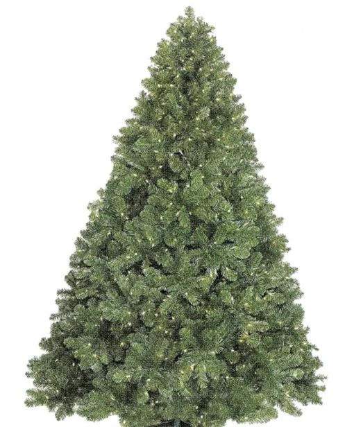 Clearance Queens of Christmas Classic Sequoia 14' Green Pine Artificial Christmas Tree With 3500 White Lights