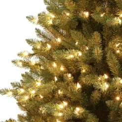 Flash Sale The Holiday Aisle Fraser 7.5' Green Artificial Fir Christmas Tree With 750 Cool White Lights