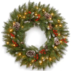 Outlet Andover Mills Frosted Berry Christmas Tree, Wreath And Garland Set
