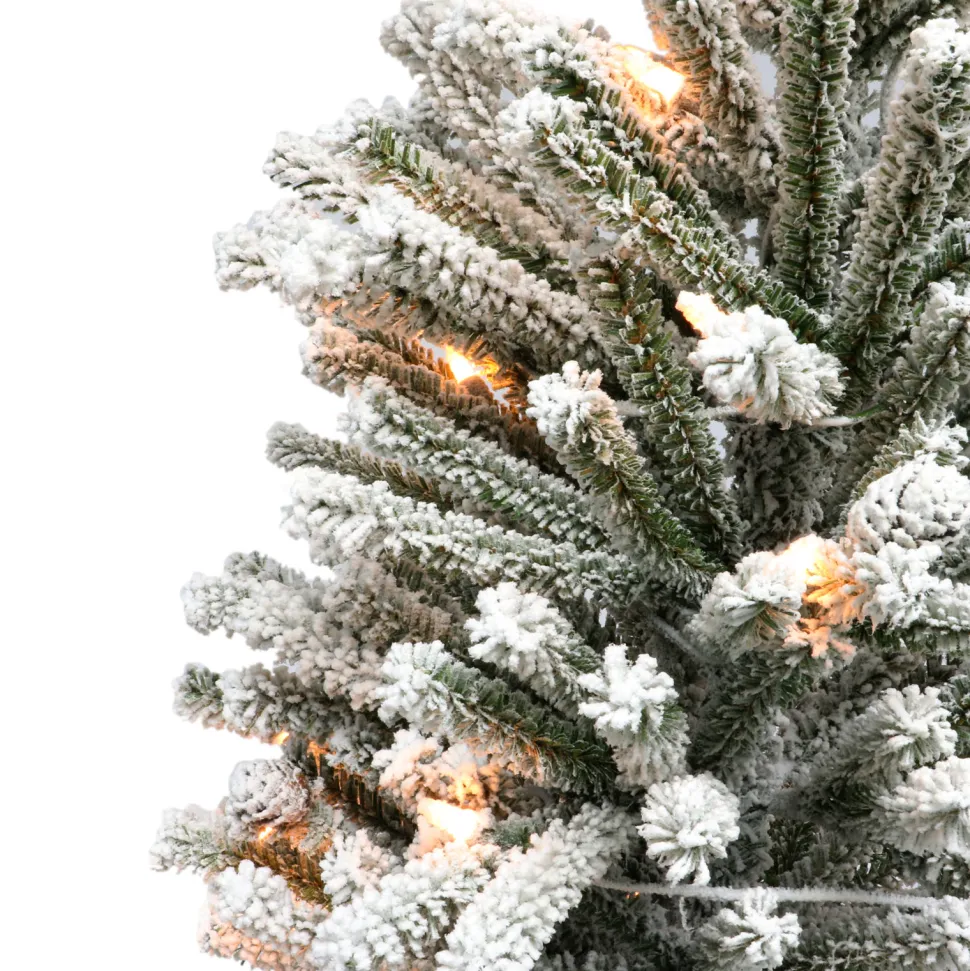 Online The Holiday Aisle Green Fir Frosted Christmas Tree With Lights
