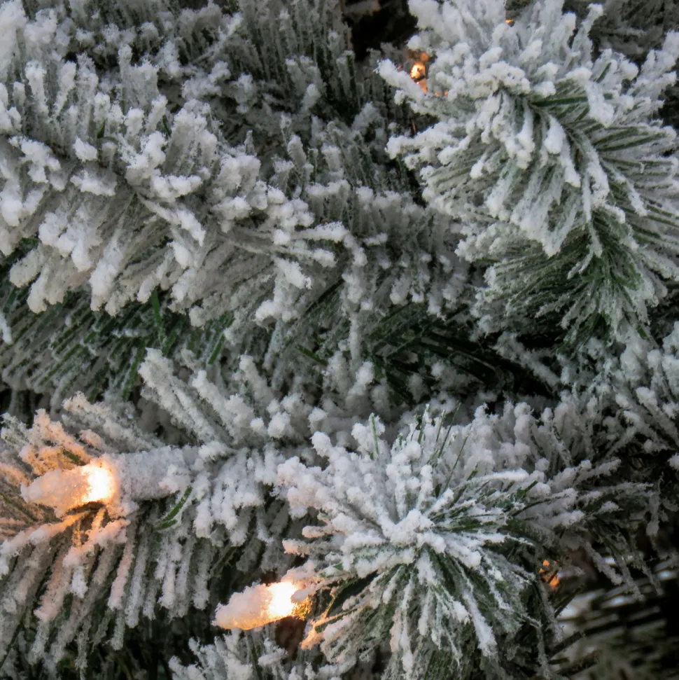 Discount The Holiday Aisle Green Spruce Flocked/Frosted Christmas Tree With 450 Lights