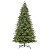 Flash Sale The Holiday Aisle Gulfsa 10' H Green Realistic Artificial Fir Christmas Tree With 1100 Lights