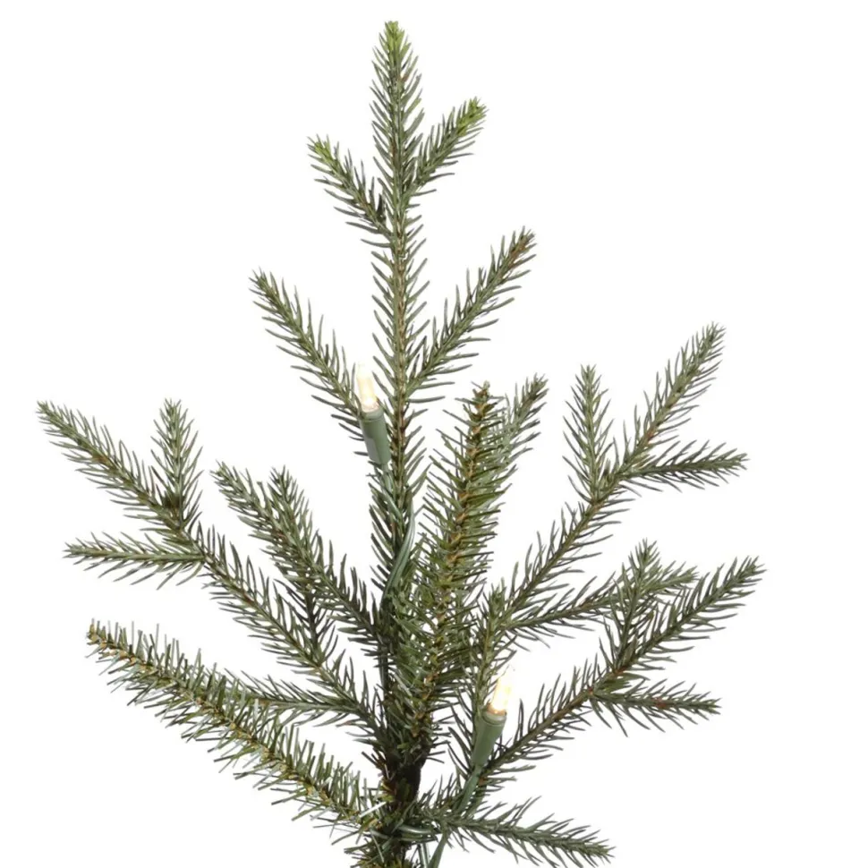 Shop The Holiday Aisle Itasca Frasier 6.5' Green Fir Trees Artificial Christmas Tree With 600 Led Clear/White Lights With Stand