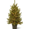 Discount The Holiday Aisle Kensington 4' Green Fir Artificial Christmas Tree With 100 Clear/White Lights