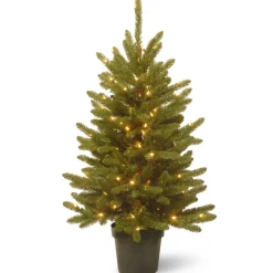 Discount The Holiday Aisle Kensington 4' Green Fir Artificial Christmas Tree With 100 Clear/White Lights