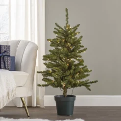Discount The Holiday Aisle Kensington 4' Green Fir Artificial Christmas Tree With 100 Clear/White Lights