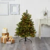 Outlet The Holiday Aisle North Carolina 7' Green Fir Artificial Christmas Tree With 550 Colored And Clear Lights