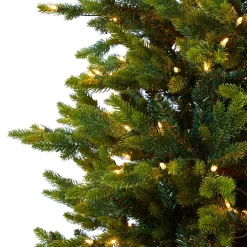 Outlet The Holiday Aisle North Carolina 7' Green Fir Artificial Christmas Tree With 550 Colored And Clear Lights