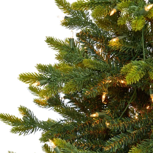 Outlet The Holiday Aisle North Carolina 7' Green Fir Artificial Christmas Tree With 550 Colored And Clear Lights