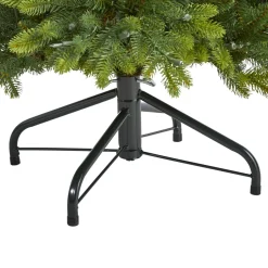 Outlet The Holiday Aisle North Carolina 7' Green Fir Artificial Christmas Tree With 550 Colored And Clear Lights